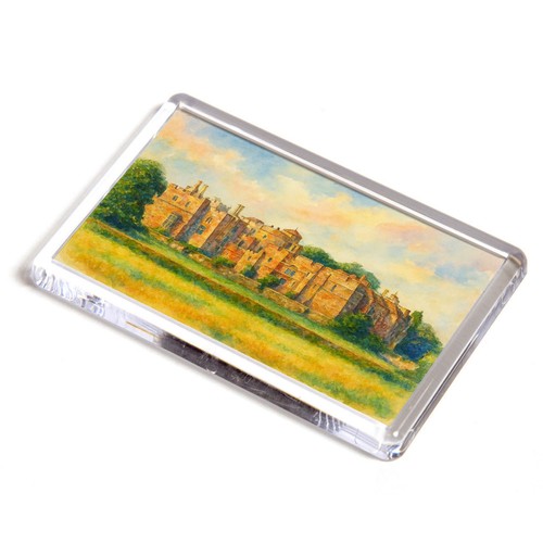 Fridge magnet berkeley - fridge,
