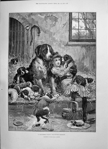 Old 1891 privileged visitor - old,