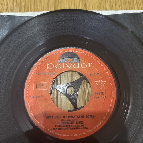 The berkeley kites vinyl - the, 7''