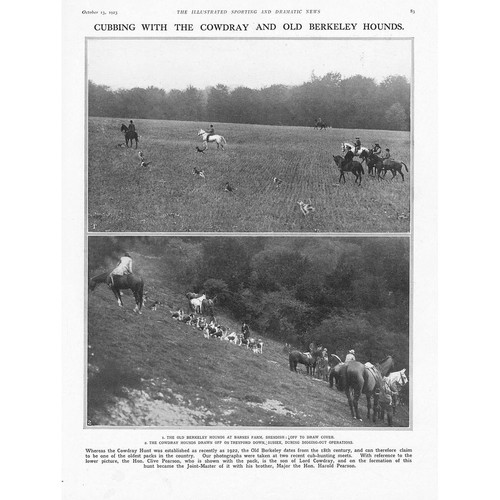 Fox hunting cubbing - hunting, the