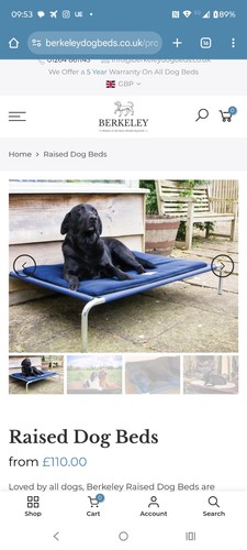 Berkeley raised dog bed - berkeley, xl